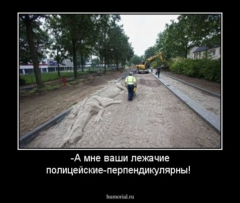 -А мне ваши лежачие полицейские-перпендикулярны!