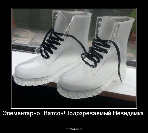 Элементарно, Ватсон!Подозреваемый Невидимка