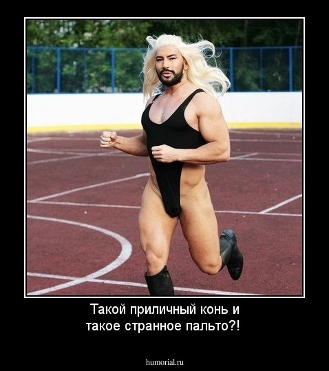 Такой приличный конь и такое странное пальто?!