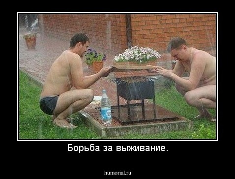 Борьба за выживание.