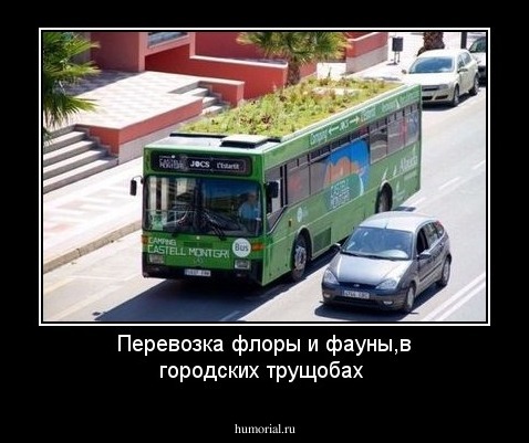 Перевозка флоры и фауны,в городских трущобах
