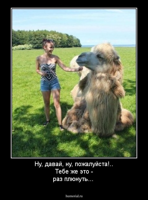 Ну, давай, ну, пожалуйста!.. Тебе же это - раз плюнуть...