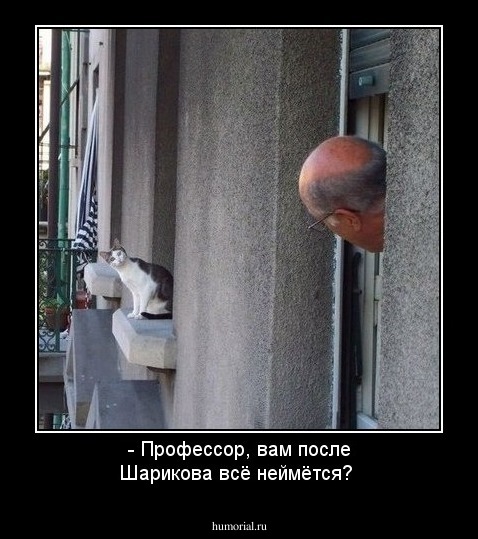 - Профессор, вам после Шарикова всё неймётся?