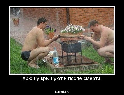 Хрюшу крышуют и после смерти.