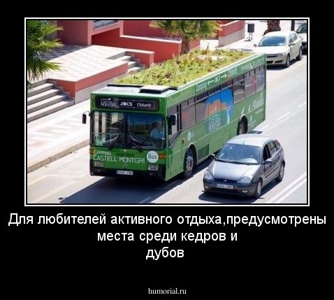 Для любителей активного отдыха,предусмотрены места среди кедров и дубов