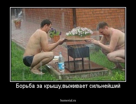 Борьба за крышу,выживает сильнейший
