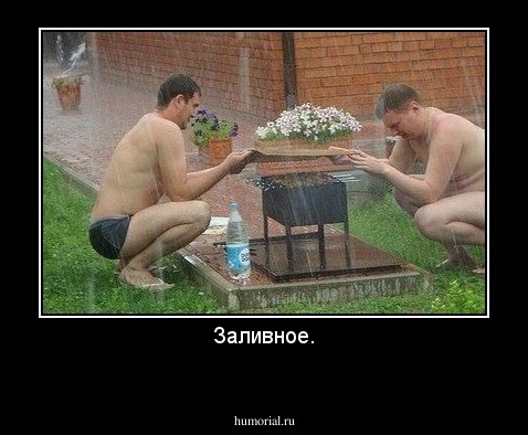 Заливное.
