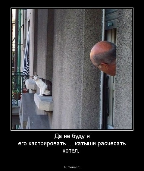 Да не буду я его кастрировать.... катыши расчесать хотел.