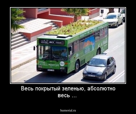 Весь покрытый зеленью, абсолютно весь ...