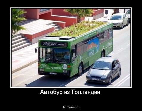 Автобус из Голландии!