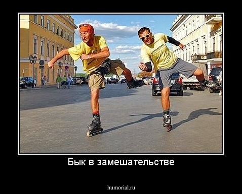 Бык в замешательстве