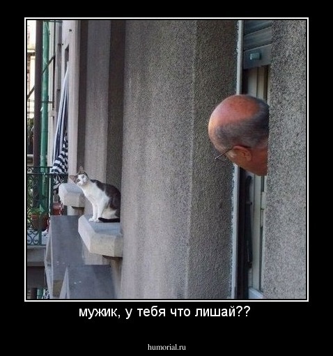 мужик, у тебя что лишай?? 