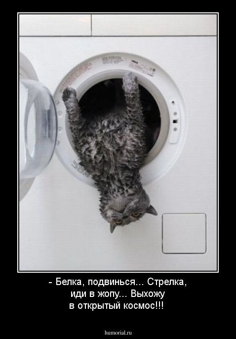 - Белка, подвинься... Стрелка, иди в жопу... Выхожу в открытый космос!!!