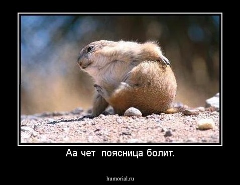 Аа чет  поясница болит.