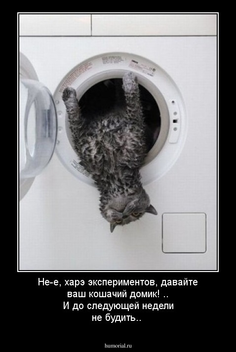 Не-е, харэ экспериментов, давайте ваш кошачий домик! .. И до следующей недели не будить..