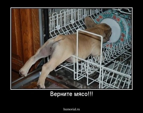 Верните мясо!!!