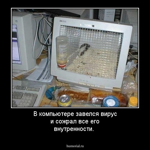 В компьютере завелся вирус и сожрал все его внутренности.