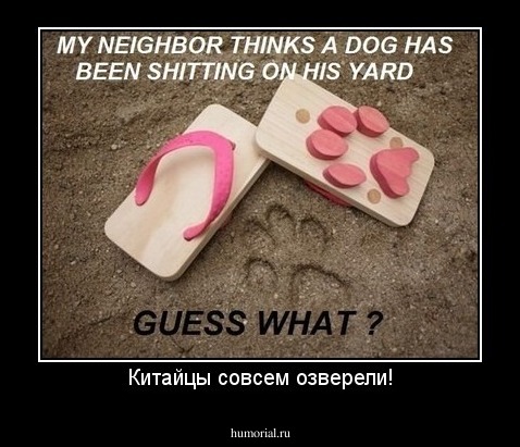 Китайцы совсем озверели!