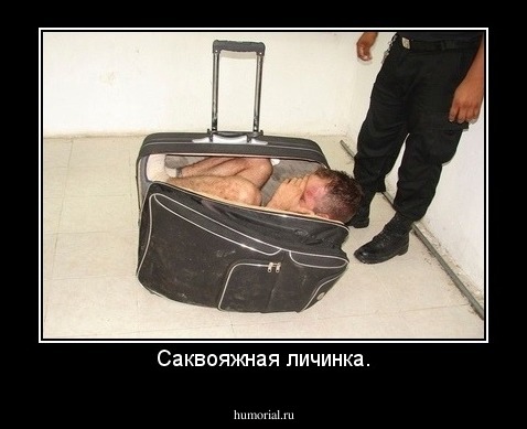 Саквояжная личинка.