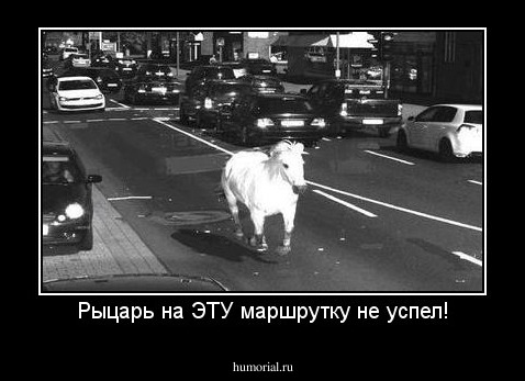 Рыцарь на ЭТУ маршрутку не успел!