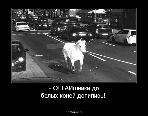 - О! ГАИшники до белых коней допились!