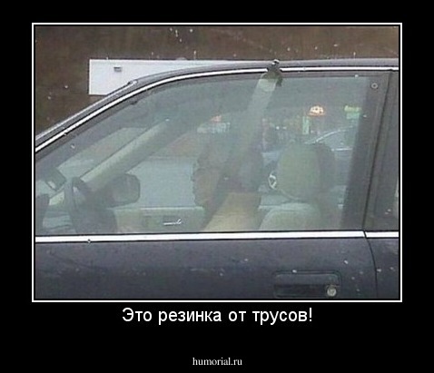 Это резинка от трусов!
