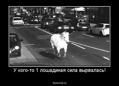 У кого-то 1 лошадиная сила вырвалась!