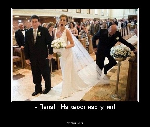 - Папа!!! На хвост наступил!