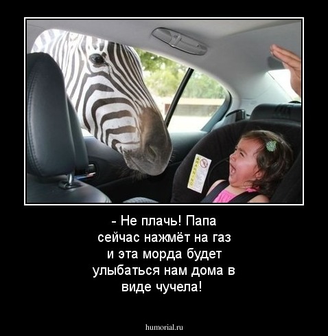 - Не плачь! Папа сейчас нажмёт на газ и эта морда будет улыбаться нам дома в виде чучела!