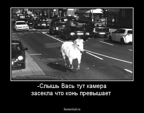 -Слышь Вась тут камера засекла что конь превышает