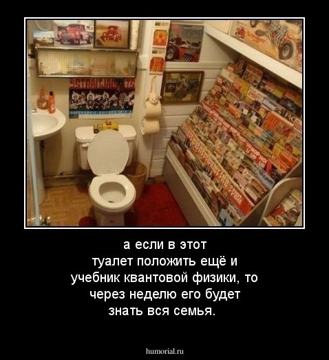 а если в этот туалет положить ещё и учебник квантовой физики, то через неделю его будет знать вся семья.