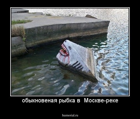 обыкновеная рыбка в  Москве-реке