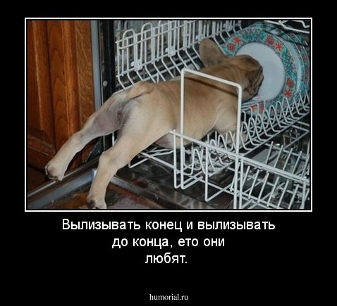 Вылизывать конец и вылизывать до конца, ето они любят.
