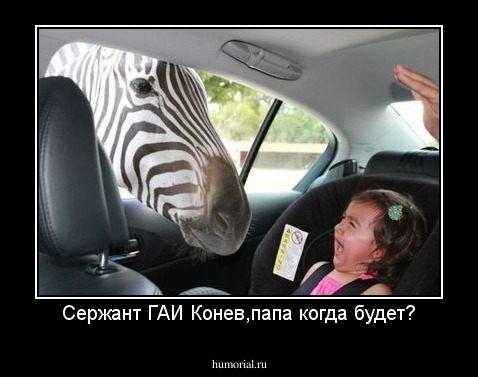 Сержант ГАИ Конев,папа когда будет?