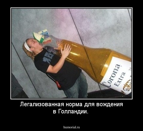 Легализованная норма для вождения в Голландии.