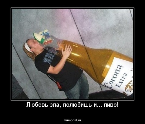 Любовь зла, полюбишь и... пиво!