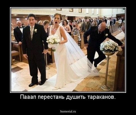 Пааап перестань душить тараканов.