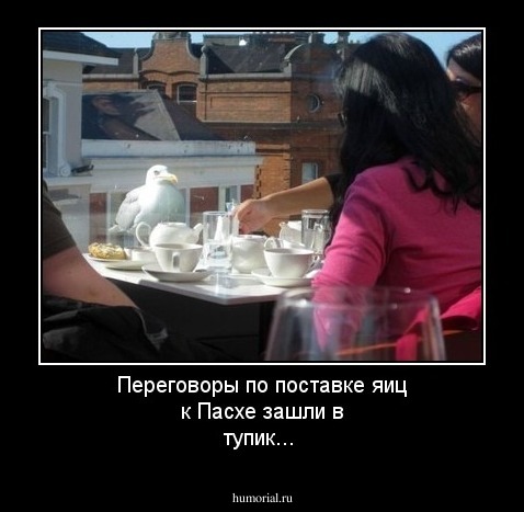 Переговоры по поставке яиц к Пасхе зашли в тупик...