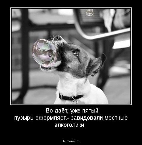 -Во даёт, уже пятый пузырь оформляет,- завидовали местные алкоголики.