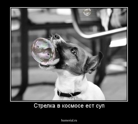 Стрелка в космосе ест суп