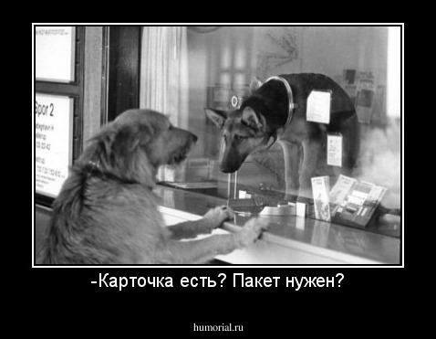 -Карточка есть? Пакет нужен?
