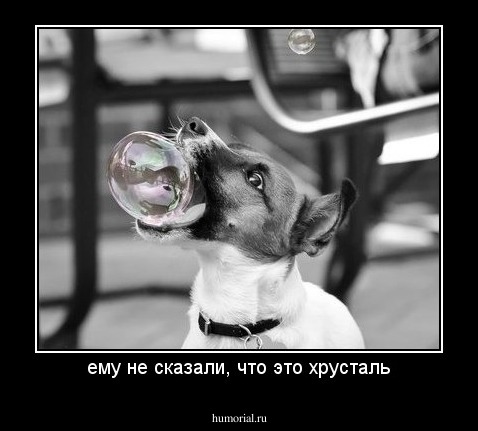 ему не сказали, что это хрусталь