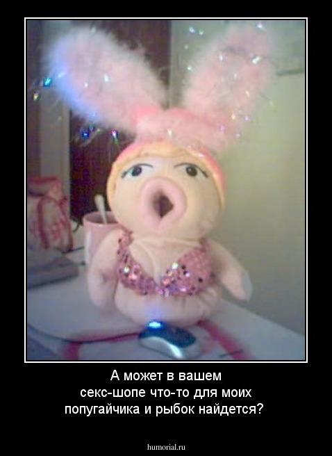 А может в вашем секс-шопе что-то для моих попугайчика и рыбок найдется?