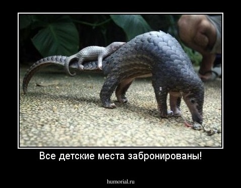 Все детские места забронированы!