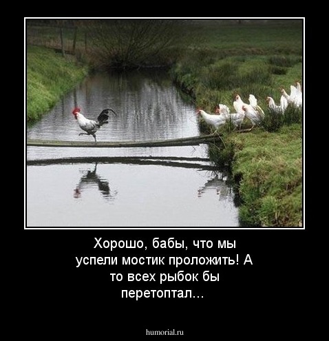 Хорошо, бабы, что мы успели мостик проложить! А то всех рыбок бы перетоптал...