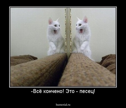 -Всё кончено! Это - песец!