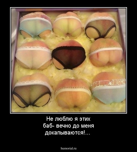 Не люблю я этих баб- вечно до меня докапываются!...