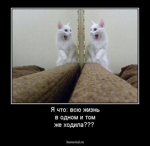 Я что: всю жизнь в одном и том же ходила???