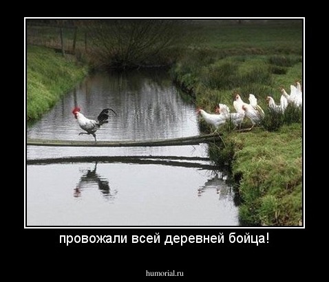провожали всей деревней бойца!