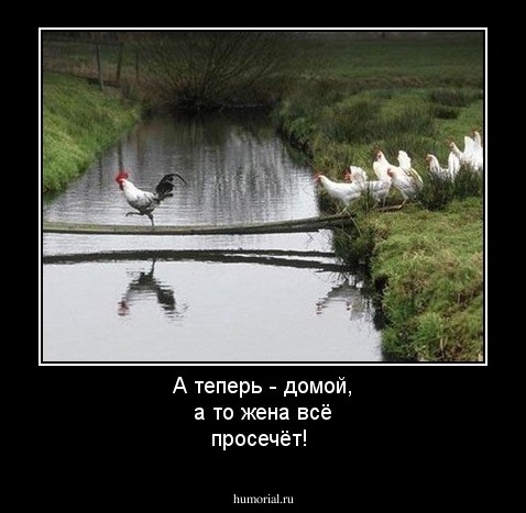 А теперь - домой,  а то жена всё просечёт!